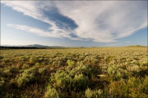 laidlaw_sagebrush_steppe (unknown)